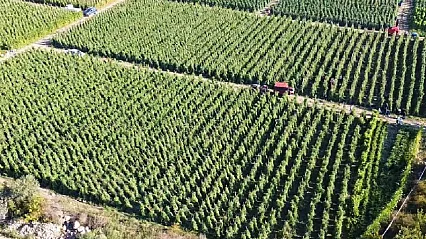 Malatyalılar Dikkat! 12,8 Milyar TL'lik Destek Ödemesi Başladı