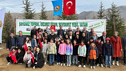 ÖNEM Projesiyle Doğanşehir Daha Yeşil Olacak
