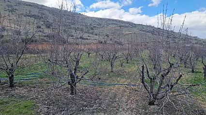 Tarım Arazileri İmara Açıldı! Mollakasım Mahallesi Ayağa Kalktı!