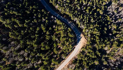 Adana'da Flaş Orman Kararı! Girişler Tamamen Yasaklandı