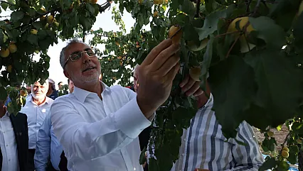Bakan Işıkhan Malatya'da Kayısı Hasadında Tarım İşçileri ile Buluştu