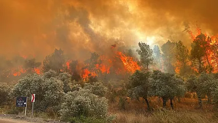 Bakan Kurum'dan Yangın Bölgeleri İçin Önemli Mesaj! Mağduriyetler Hızla Giderilecek