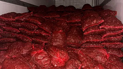 Bursa ve Balıkesir'de Kaçakçılara Darbe! Tam 10 Ton Ele Geçirildi