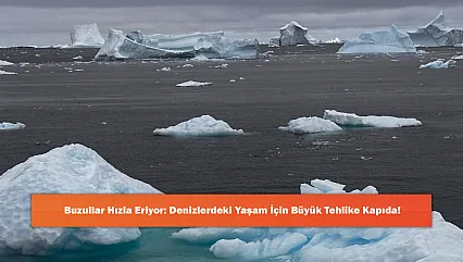Buzullar Hızla Eriyor: Denizlerdeki Yaşam İçin Büyük Tehlike Kapıda!