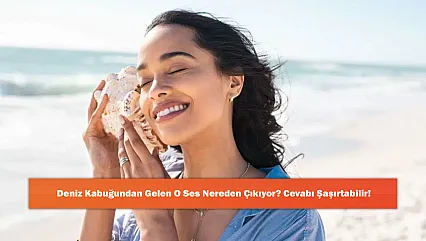 Deniz Kabuğundan Gelen O Ses Nereden Çıkıyor? Cevabı Şaşırtabilir!