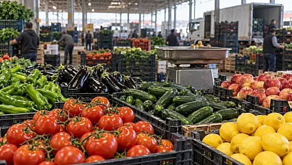 Hal Piyasasında Dikkat Çeken Soruşturma! 41 Yönetici İçin Gözaltı