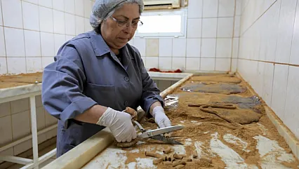 Manisa'da 486 Yıllık Gelenek! 10 Ton Mesir Macunu Kadınların Ellerinde Şifaya Dönüşüyor