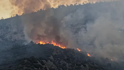 Manisa'da Ormanlık Alanda Yangın! Çok Sayıda Ekip Bölgeye Sevk Edildi