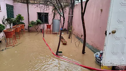 Mardin ve Diyarbakır'da Sağanak Felaketi: 45 Hayvan Telef Oldu