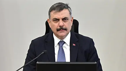 Sokak Hayvanlarıyla İlgili Süreç Tamamlandı!