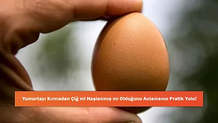 Yumurtayı Kırmadan Çiğ mi Haşlanmış mı Olduğunu Anlamanın Pratik Yolu!