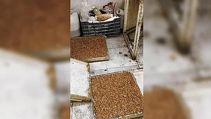 Zabıta Tebligata Gitti, Gördüklerine İnanamadı! Mide Bulandıran Şartlarda Kaçak Üretim