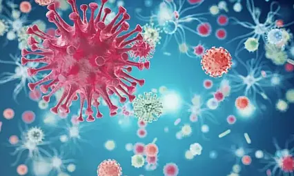 Bilim İnsanları Uyardı! Küresel Isınma, Hayvanlardan İnsanlara Bulaşan Hastalıkları Tetikliyor