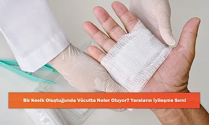 Bir Kesik Oluştuğunda Vücutta Neler Oluyor? Yaraların İyileşme Sırrı!