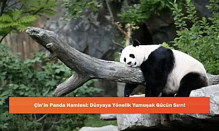 Çin'in Panda Hamlesi: Dünyaya Yönelik Yumuşak Gücün Sırrı!