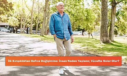 İlk Kırışıklıktan Hafıza Değişimine: İnsan Neden Yaşlanır, Vücutta Neler Olur?