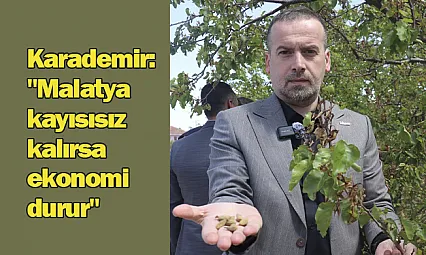 Karademir:  'Malatya  kayısısız  kalırsa  ekonomi  durur'