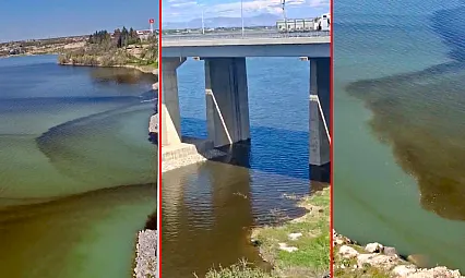 Malatya'da Tohma Çayı Kapkara Akıyor! Balıklar Ölüyor