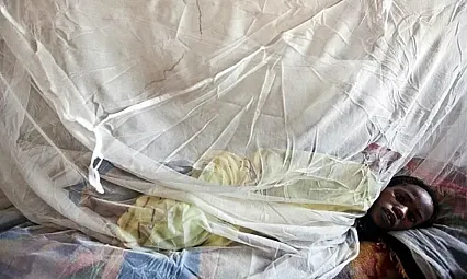Nijerya'da Lassa Ateşi Kabusu!