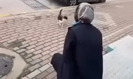 Sokak Kedisine Yaptığı Pes Dedirtti! Vicdanları Sızlattı