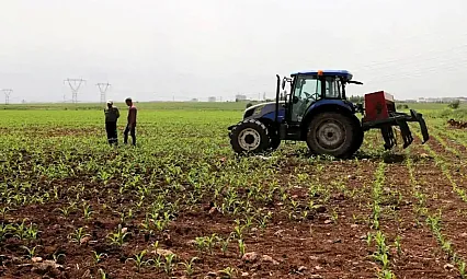 Tarım Ürünlerinde Dikkat Çeken Fiyat Hareketi! Artış Da Var Düşüş De