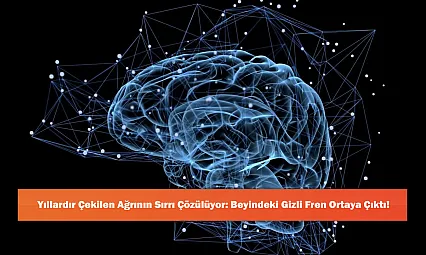 Yıllardır Çekilen Ağrının Sırrı Çözülüyor: Beyindeki Gizli Fren Ortaya Çıktı!