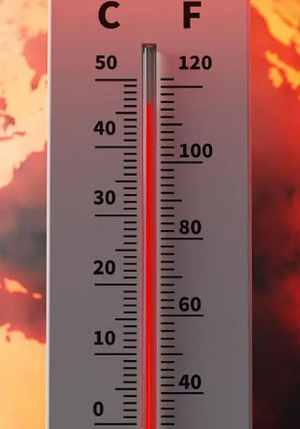 El Nino Son 40 Yılda Yüzde 36 Güçlendi! Mercan Fosilleri İklim Krizinin İzlerini Ortaya Çıkardı