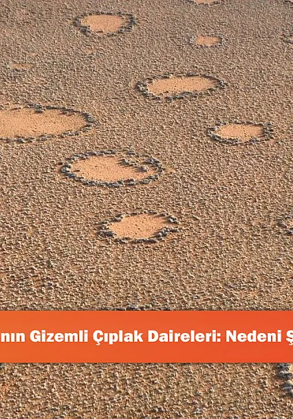 Namibya'nın Gizemli Çıplak Daireleri: Nedeni Şaşırtıyor!