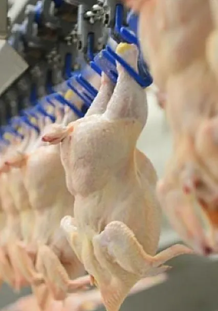 Ticaret Bakanlığı'ndan İç Piyasa Hamlesi!