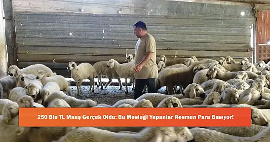 250 Bin TL Maaş Gerçek Oldu: Bu Mesleği Yapanlar Resmen Para Basıyor!