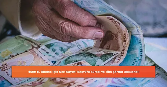 4500 TL Ödeme İçin Geri Sayım: Başvuru Süreci ve Tüm Şartlar Açıklandı!