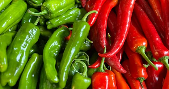 Batı Akdeniz'den İhracat Rekoru! Biber Dış Satımda Şampiyon Oldu