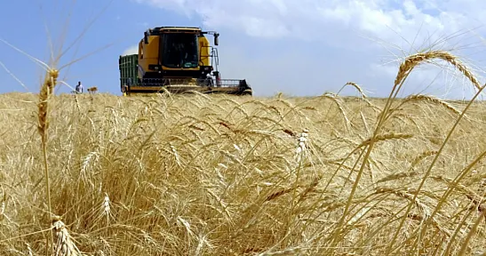 Çiftçilere Destek Ödemesi! 6,4 Milyar Lira Hesaplara Aktarılıyor