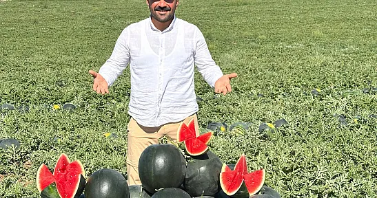Malatya'da bu yıl umut kavun karpuzda