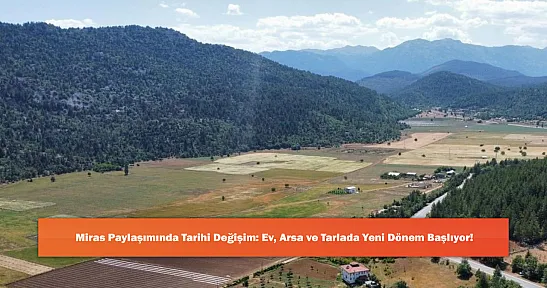 Miras Paylaşımında Tarihi Değişim: Ev, Arsa ve Tarlada Yeni Dönem Başlıyor!