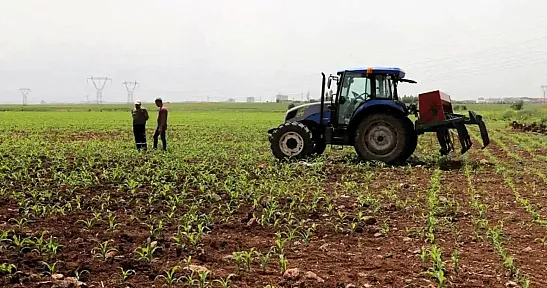 Tarım Ürünlerinde Dikkat Çeken Fiyat Hareketi! Artış Da Var Düşüş De