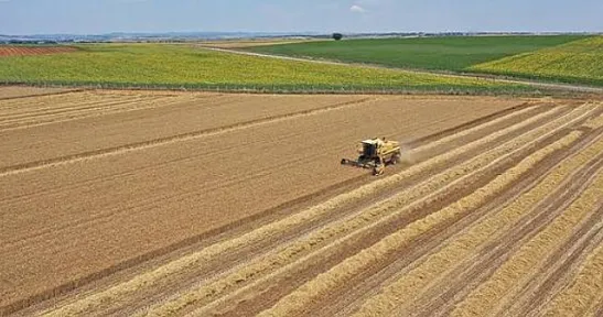 Tarımda Yeni Destek Ödemesi Açıklandı! Çiftçilerin Hesaplarına Yatırılacak