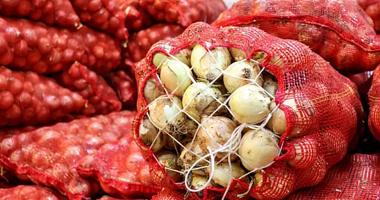 Türkiye'nin Kuru Soğan İhracatında Rekor Artış!