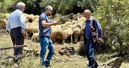 Zorlu şartlara rağmen yaylada üretmeye devam ediyorlar