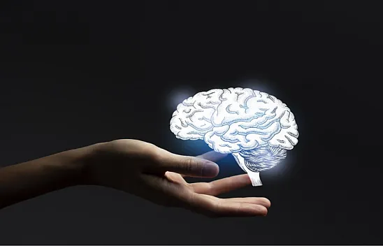 Beynin Altın Çağı: 55–60 Yaş Arası