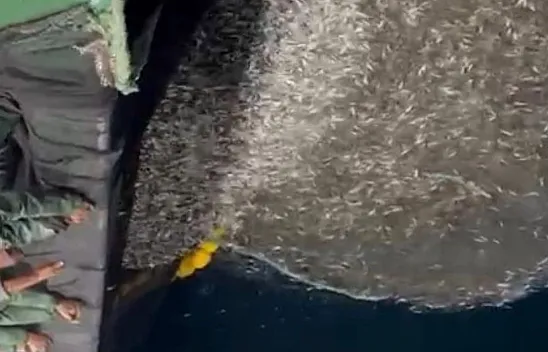 Çanakkale'de Örnek Davranış: Balıkçılar Ağa Takılan Binlerce Yavru Balığı Denize Geri Bıraktı