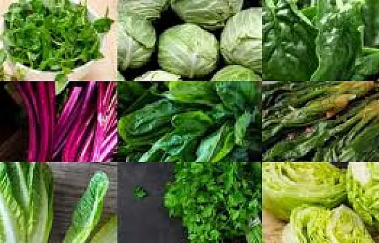 Dünyanın En Sağlıklı Sebzesi Açıklandı: 100 Üzerinden 100 Puanla 'Tere' Zirvede