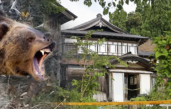 Japonya'da Korkutan Rekor: Ayı Saldırıları 10 Can Aldı, Ordu Müdahaleye Hazırlanıyor