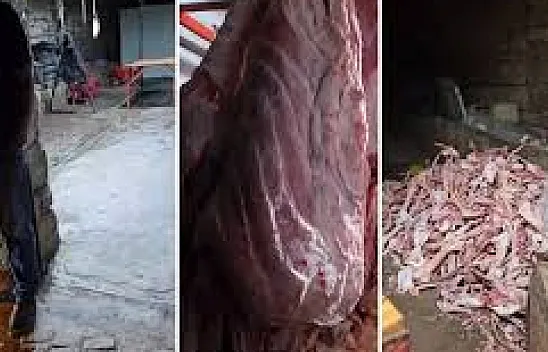 Kayseri'de Et Skandalı! Ahırdan Çıkan 1,5 Ton Kaçak Et İmha Edildi