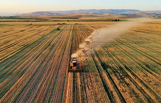 Malatya Çiftçisi Alarm Veriyor! Meyve ve Sebzede Büyük Kayıp!