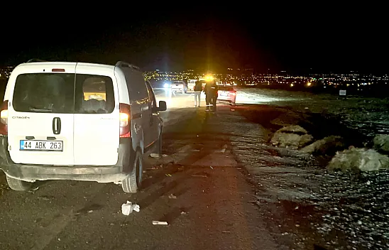 Malatya'da Katliam Gibi Kaza: 12 Koyun Telef Oldu