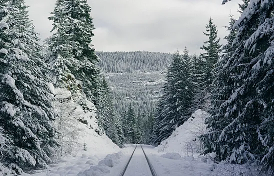 Malatya'da Kuvvetli Kar Yağışı Bekleniyor!