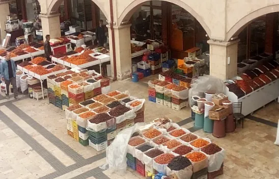 Malatya Kayısısı Dünya Markası Ama Yerel İlgisizlikle Yüz Yüze