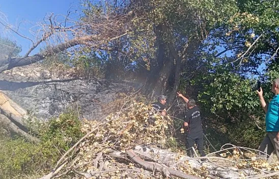 Malatya Kuluncak'ta Elektrik Hattı Yangını Panik Yarattı: Tehlikeye Karşı Uyarılar Dikkate Alınmadı İddiası