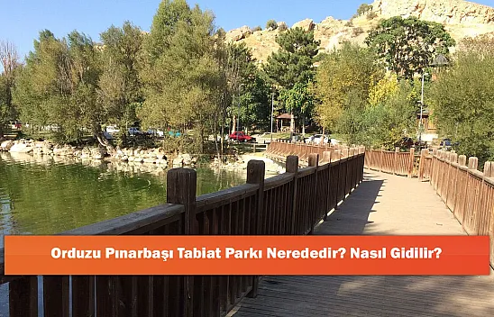Orduzu Pınarbaşı Tabiat Parkı Nerededir? Nasıl Gidilir?